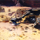 Illustration for article titled All the Star Wars: The Force Awakens concept art leaked so far